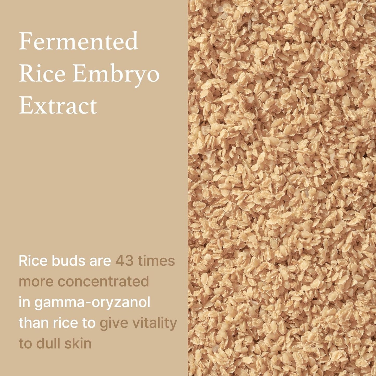 Healthy Glow Rice Face Serum (30ml)